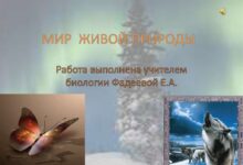 Photo of Биология: изучение живой природы