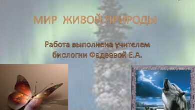 Photo of Биология: изучение живой природы
